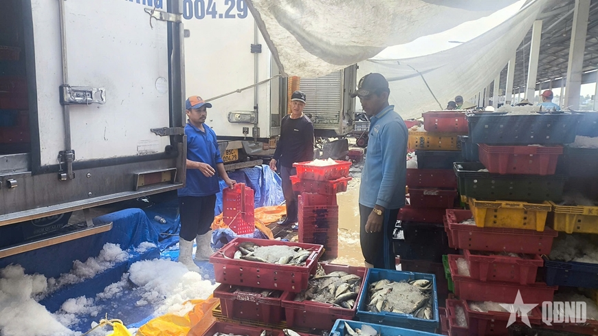 Chuyển đổi số - “la bàn mới” dẫn lối nghề cá An Giang